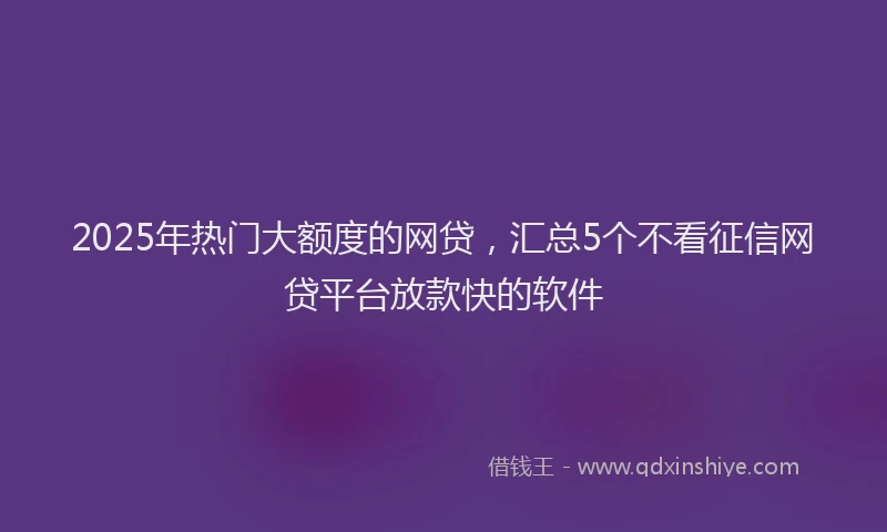 2025年热门大额度的网贷，汇总5个不看征信网贷平台放款快的软件