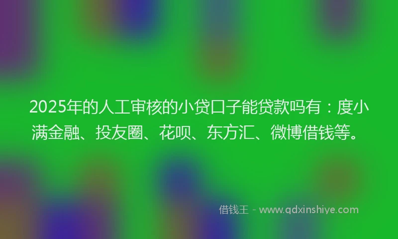 2025年的人工审核的小贷口子能贷款吗有：度小满金融、投友圈、花呗、东方汇、微博借钱等。