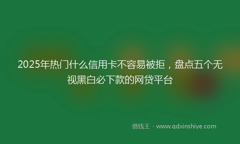 2025年热门什么信用卡不容易被拒，盘点五个无视黑白必下款的网贷平台
