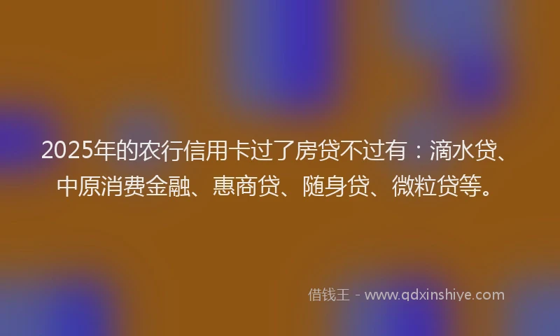 2025年的农行信用卡过了房贷不过有：滴水贷、中原消费金融、惠商贷、随身贷、微粒贷等。