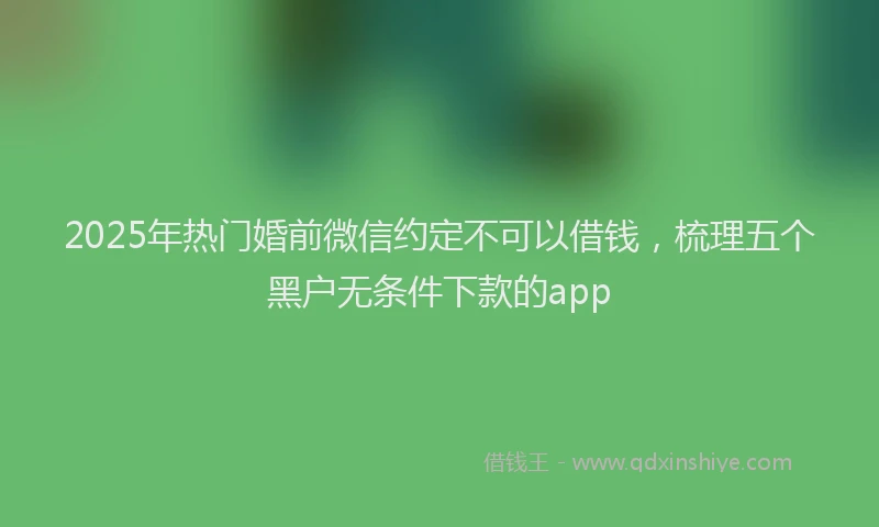 2025年热门婚前微信约定不可以借钱，梳理五个黑户无条件下款的app