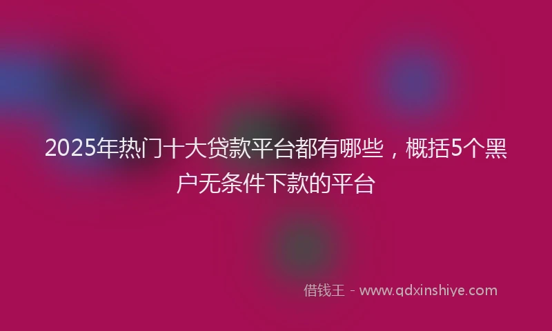2025年热门十大贷款平台都有哪些，概括5个黑户无条件下款的平台