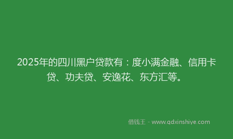2025年的四川黑户贷款有：度小满金融、信用卡贷、功夫贷、安逸花、东方汇等。