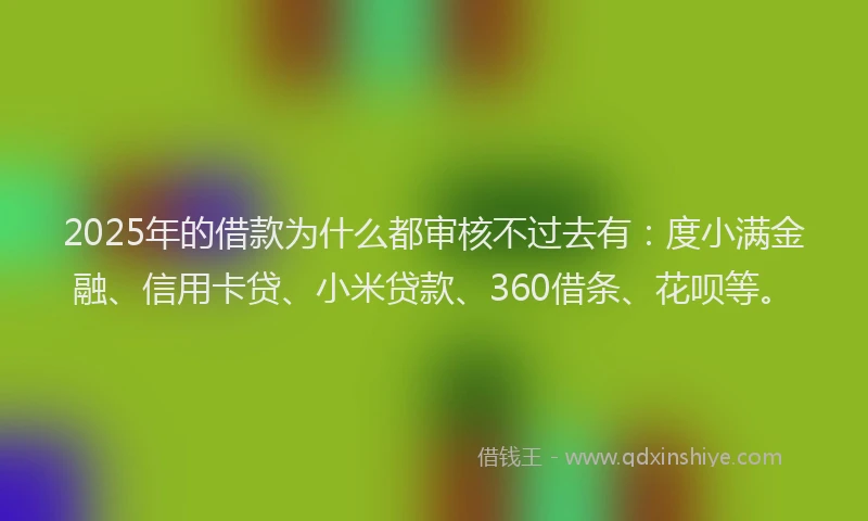 2025年的借款为什么都审核不过去有：度小满金融、信用卡贷、小米贷款、360借条、花呗等。