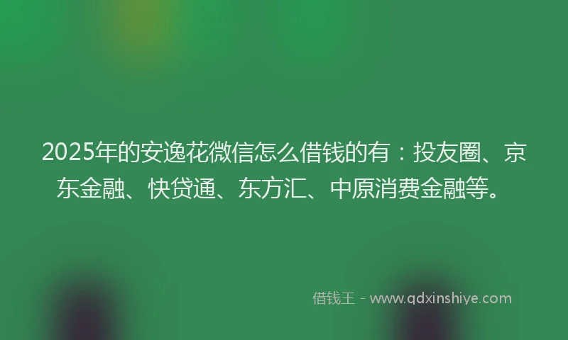 2025年的安逸花微信怎么借钱的有：投友圈、京东金融、快贷通、东方汇、中原消费金融等。