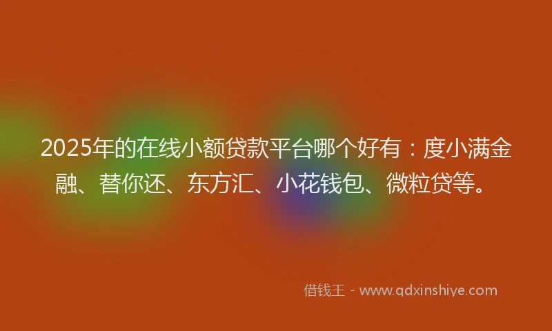 2025年的在线小额贷款平台哪个好有：度小满金融、替你还、东方汇、小花钱包、微粒贷等。