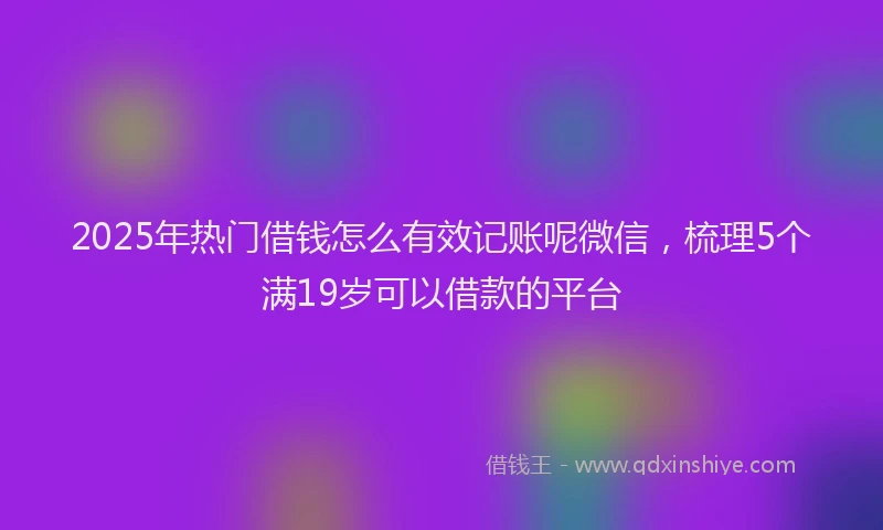 2025年热门借钱怎么有效记账呢微信，梳理5个满19岁可以借款的平台