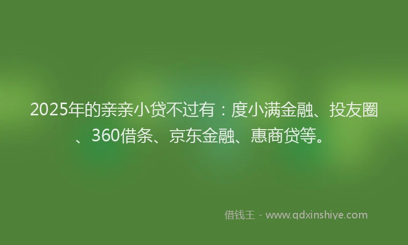 2025年的亲亲小贷不过有：度小满金融、投友圈、360借条、京东金融、惠商贷等。