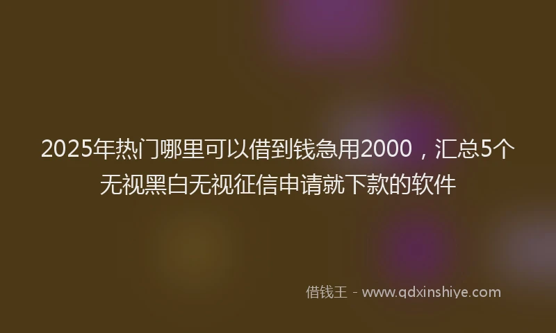 2025年热门哪里可以借到钱急用2000，汇总5个无视黑白无视征信申请就下款的软件