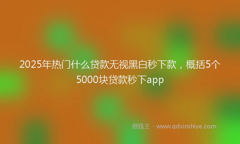 2025年热门什么贷款无视黑白秒下款，概括5个5000块贷款秒下app