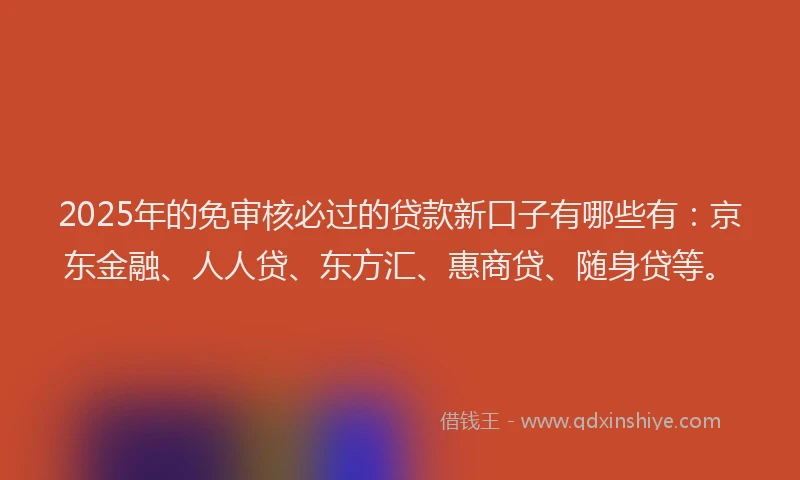 2025年的免审核必过的贷款新口子有哪些有：京东金融、人人贷、东方汇、惠商贷、随身贷等。