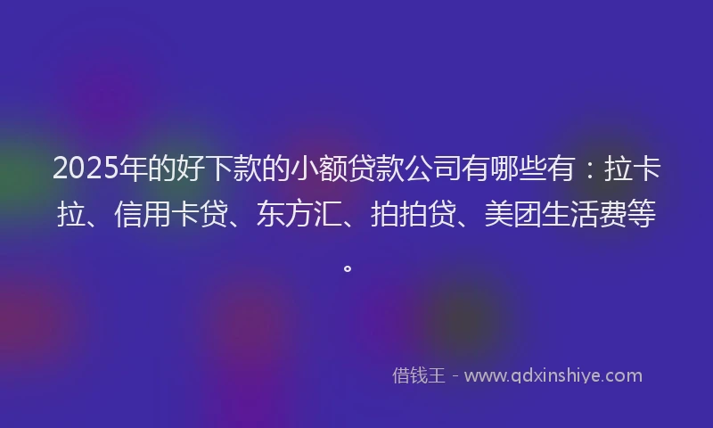 2025年的好下款的小额贷款公司有哪些有：拉卡拉、信用卡贷、东方汇、拍拍贷、美团生活费等。
