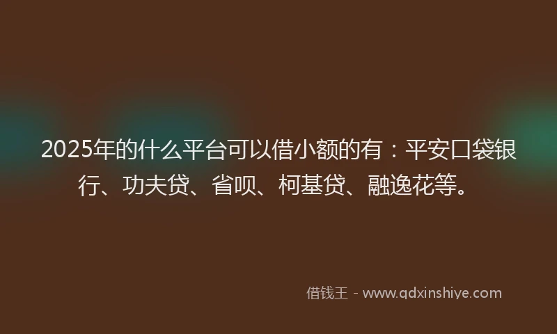 2025年的什么平台可以借小额的有：平安口袋银行、功夫贷、省呗、柯基贷、融逸花等。