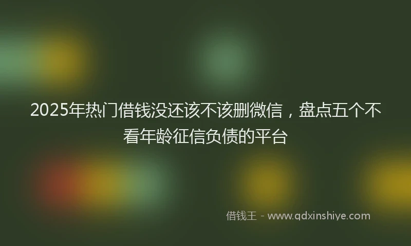 2025年热门借钱没还该不该删微信，盘点五个不看年龄征信负债的平台