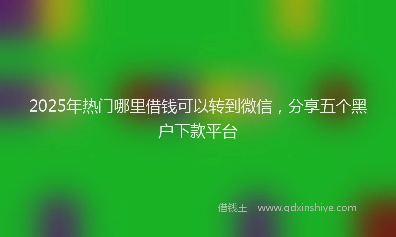 2025年热门哪里借钱可以转到微信，分享五个黑户下款平台