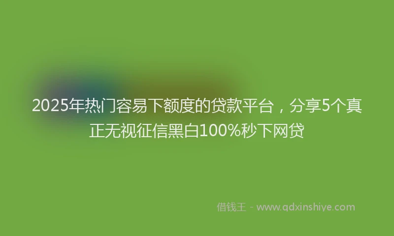 2025年热门容易下额度的贷款平台，分享5个真正无视征信黑白100%秒下网贷