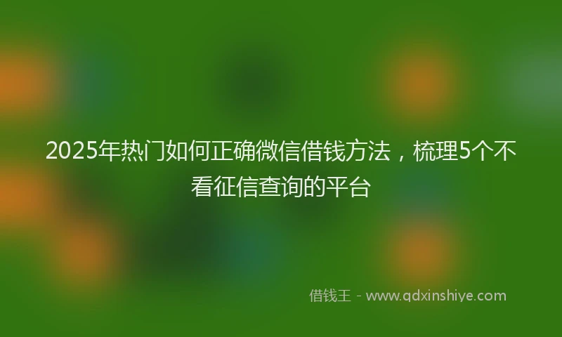 2025年热门如何正确微信借钱方法，梳理5个不看征信查询的平台