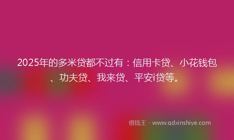 2025年的多米贷都不过有：信用卡贷、小花钱包、功夫贷、我来贷、平安i贷等。