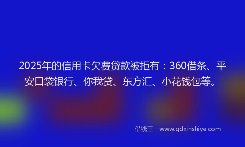 2025年的信用卡欠费贷款被拒有：360借条、平安口袋银行、你我贷、东方汇、小花钱包等。