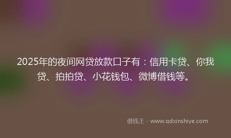 2025年的夜间网贷放款口子有：信用卡贷、你我贷、拍拍贷、小花钱包、微博借钱等。