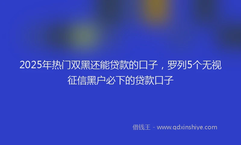2025年热门双黑还能贷款的口子，罗列5个无视征信黑户必下的贷款口子