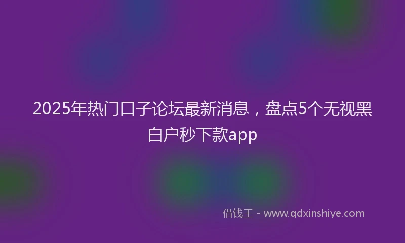 2025年热门口子论坛最新消息，盘点5个无视黑白户秒下款app