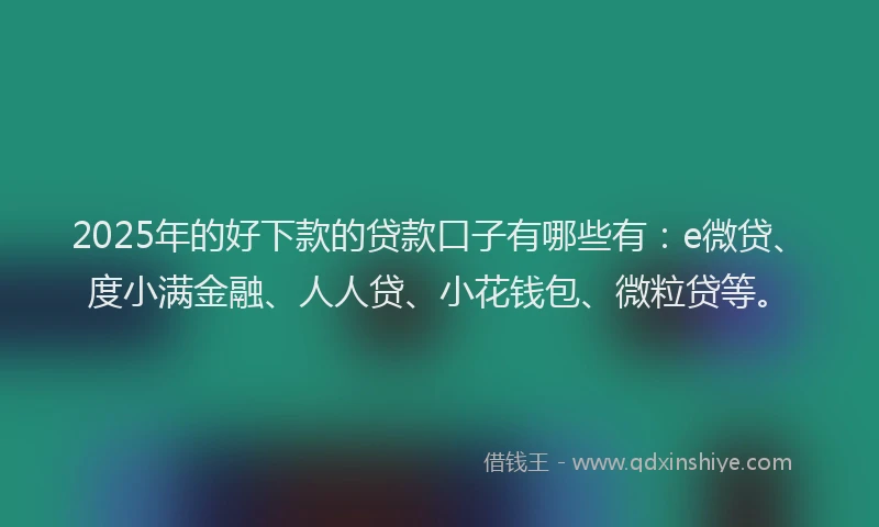 2025年的好下款的贷款口子有哪些有：e微贷、度小满金融、人人贷、小花钱包、微粒贷等。