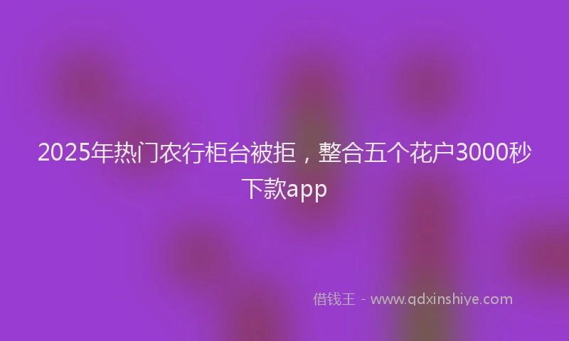 2025年热门农行柜台被拒，整合五个花户3000秒下款app