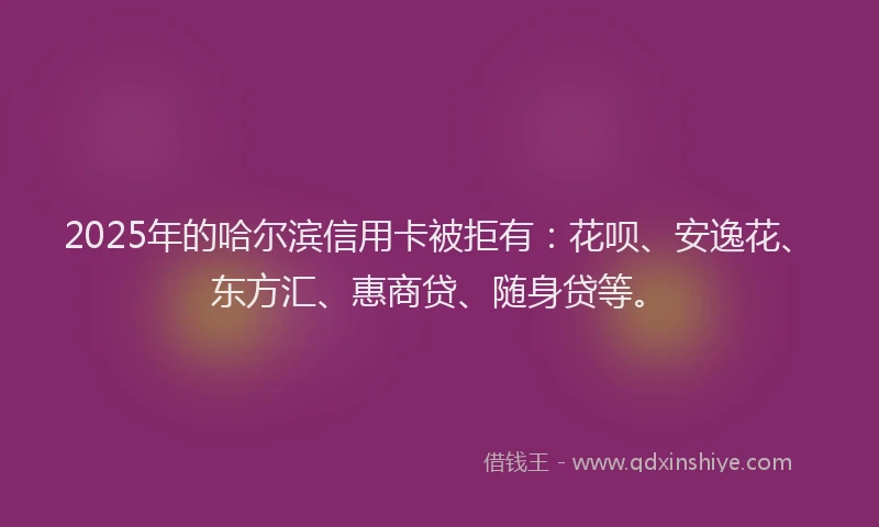 2025年的哈尔滨信用卡被拒有：花呗、安逸花、东方汇、惠商贷、随身贷等。