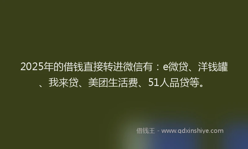 2025年的借钱直接转进微信有：e微贷、洋钱罐、我来贷、美团生活费、51人品贷等。