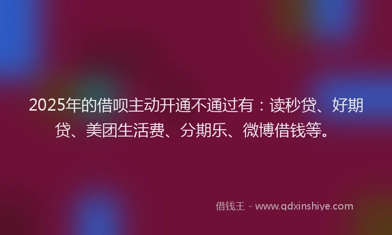 2025年的借呗主动开通不通过有：读秒贷、好期贷、美团生活费、分期乐、微博借钱等。