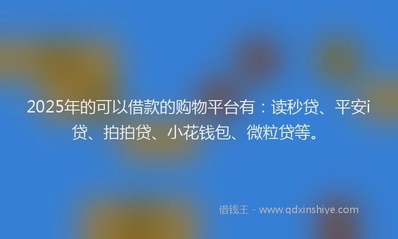 2025年的可以借款的购物平台有：读秒贷、平安i贷、拍拍贷、小花钱包、微粒贷等。