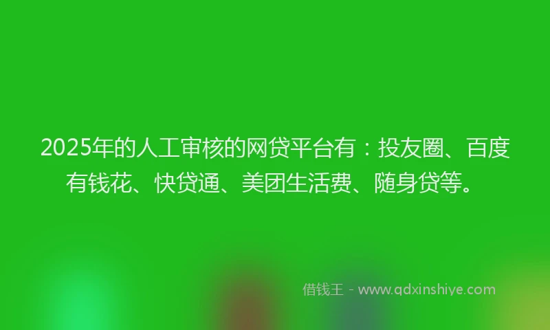 2025年的人工审核的网贷平台有：投友圈、百度有钱花、快贷通、美团生活费、随身贷等。