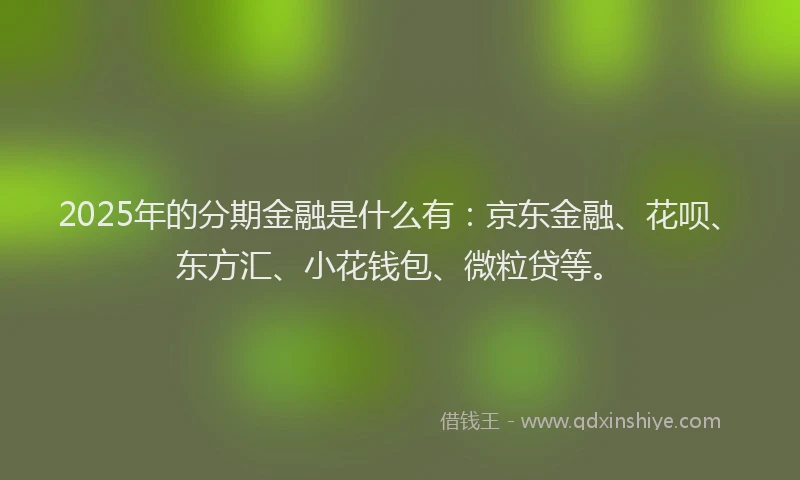2025年的分期金融是什么有：京东金融、花呗、东方汇、小花钱包、微粒贷等。