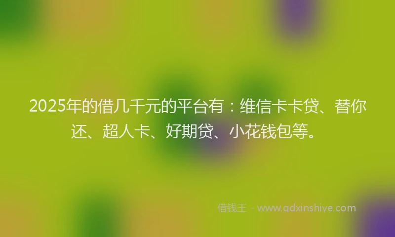 2025年的借几千元的平台有：维信卡卡贷、替你还、超人卡、好期贷、小花钱包等。