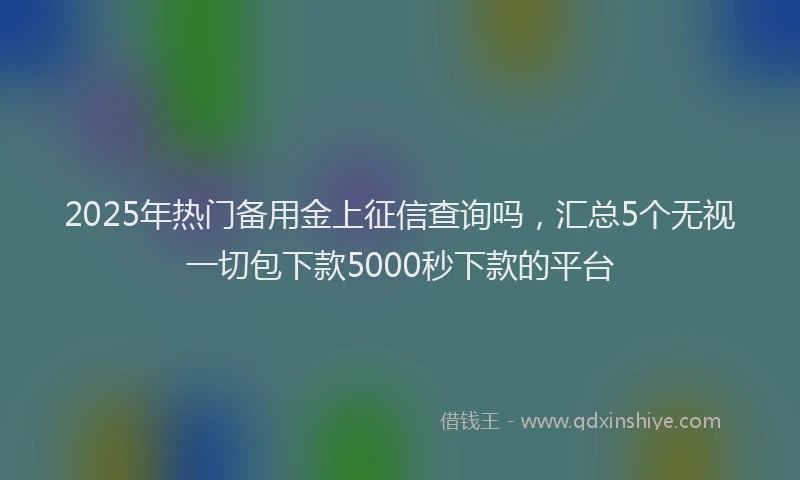 2025年热门备用金上征信查询吗，汇总5个无视一切包下款5000秒下款的平台