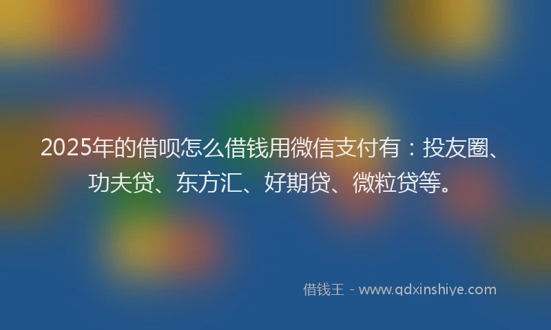 2025年的借呗怎么借钱用微信支付有：投友圈、功夫贷、东方汇、好期贷、微粒贷等。