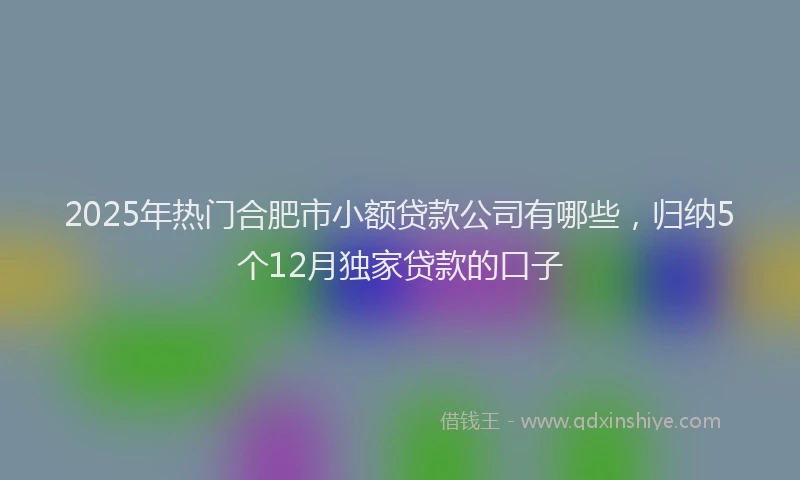 2025年热门合肥市小额贷款公司有哪些，归纳5个12月独家贷款的口子