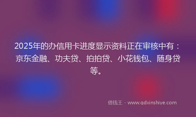 2025年的办信用卡进度显示资料正在审核中有：京东金融、功夫贷、拍拍贷、小花钱包、随身贷等。