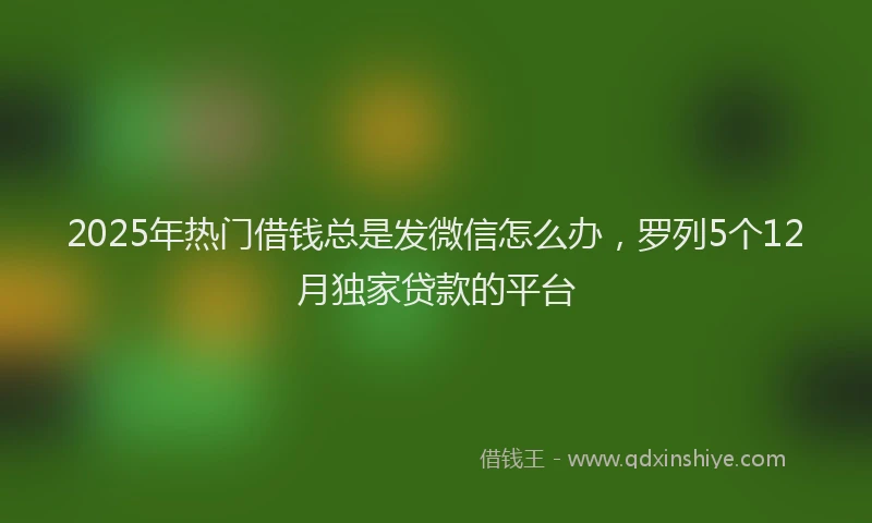 2025年热门借钱总是发微信怎么办，罗列5个12月独家贷款的平台