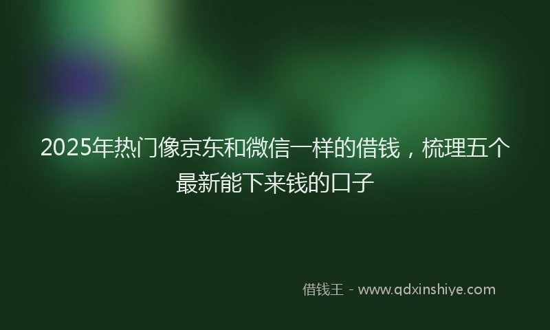 2025年热门像京东和微信一样的借钱，梳理五个最新能下来钱的口子