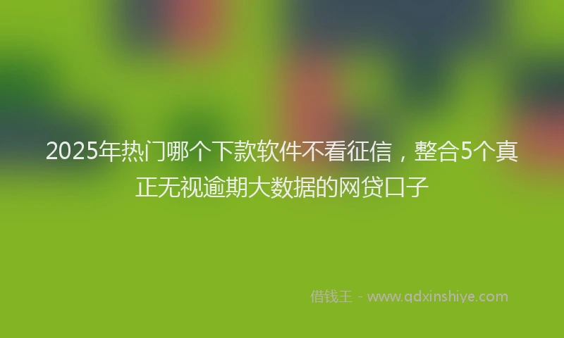 2025年热门哪个下款软件不看征信，整合5个真正无视逾期大数据的网贷口子