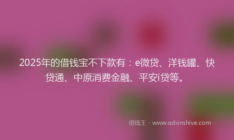2025年的借钱宝不下款有:e微贷、洋钱罐、快贷通、中原消费金融、平安i贷等。