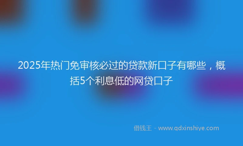 2025年热门免审核必过的贷款新口子有哪些，概括5个利息低的网贷口子