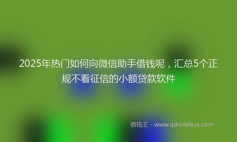 2025年热门如何向微信助手借钱呢，汇总5个正规不看征信的小额贷款软件
