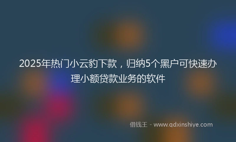 2025年热门小云豹下款，归纳5个黑户可快速办理小额贷款业务的软件