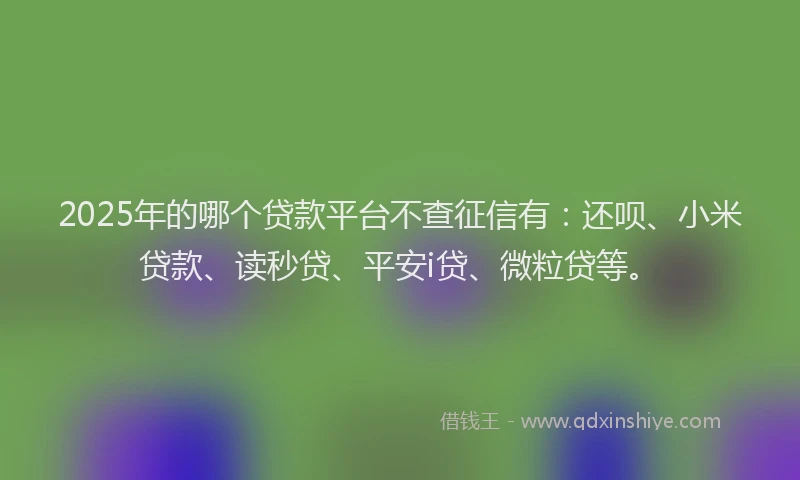 2025年的哪个贷款平台不查征信有：还呗、小米贷款、读秒贷、平安i贷、微粒贷等。