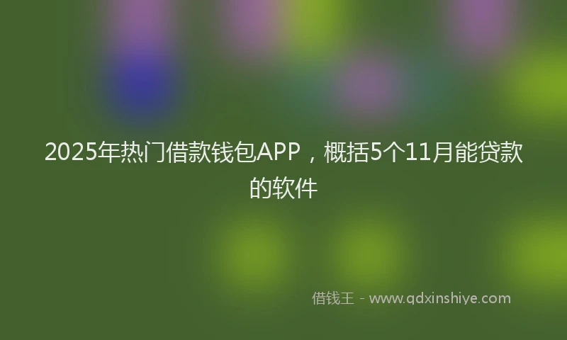 2025年热门借款钱包APP，概括5个11月能贷款的软件