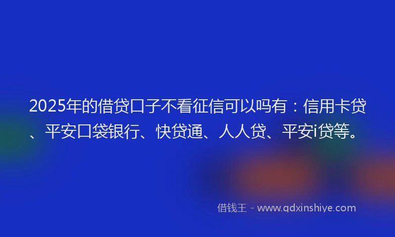 2025年的借贷口子不看征信可以吗有：信用卡贷、平安口袋银行、快贷通、人人贷、平安i贷等。