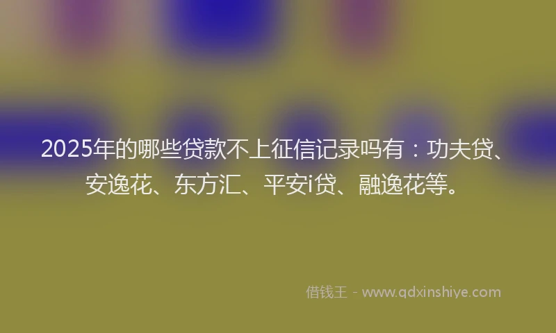 2025年的哪些贷款不上征信记录吗有：功夫贷、安逸花、东方汇、平安i贷、融逸花等。